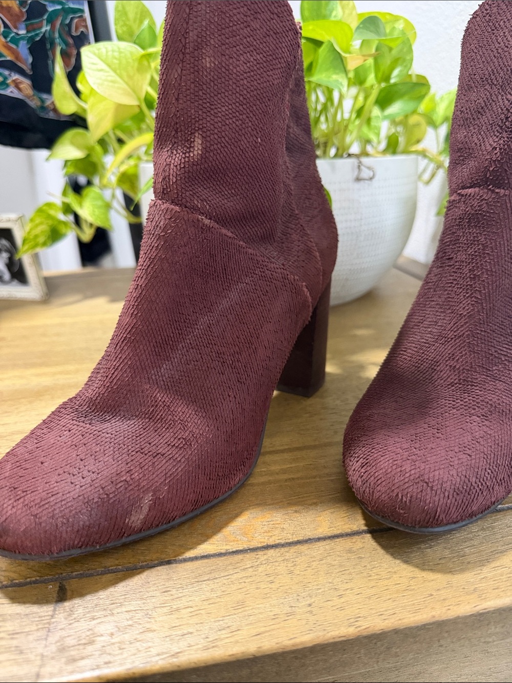 Seychelles Suede Textured Tulip Topline- Block Heel Ankle Boots - Burgundy - Picture 6 of 6